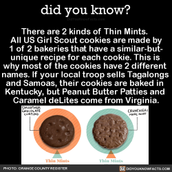 did-you-kno:  There are 2 kinds of Thin Mints.