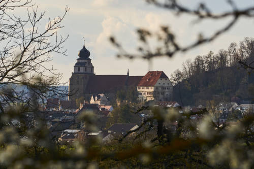 Church through the cherry blossoms