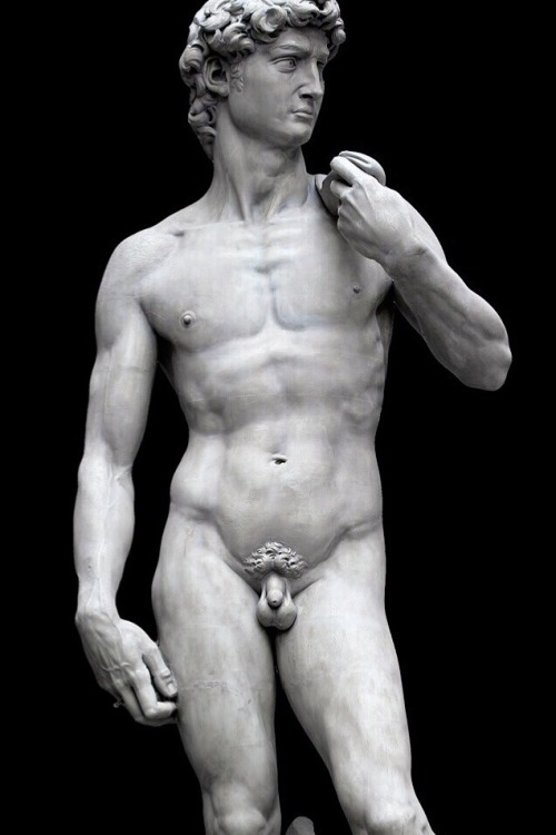 Michelangelo’s masterpiece “David” 1501-1504