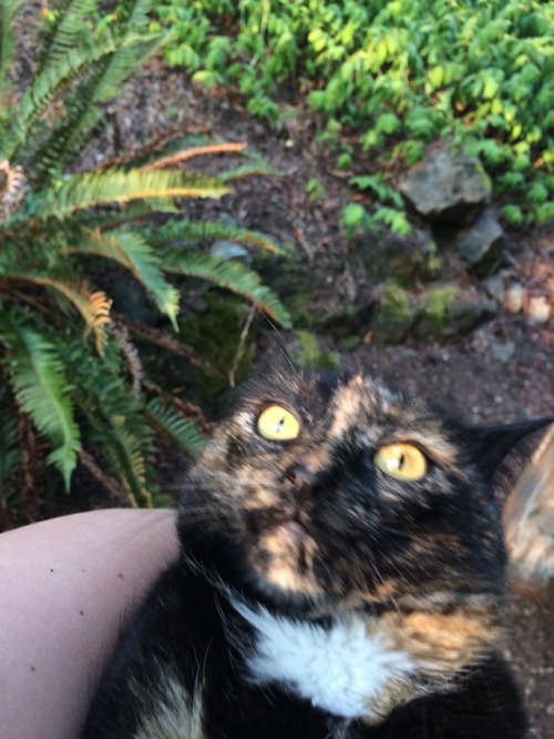 i miss my baby moo !! she is across the country but on my mind every day(submitted by @onionslugger)