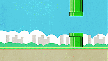notpano:  fuckin bird