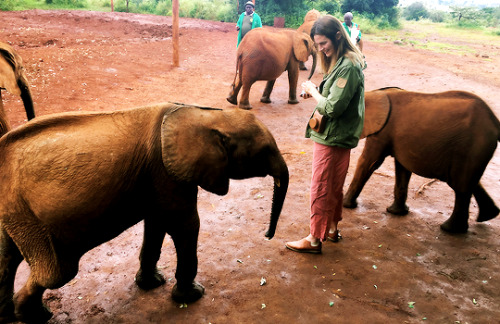 katebeckett:drstanakatic: Luggard surprised me by saying hello as I was trying to take a photo of on