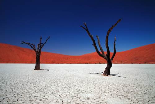 sobbingangel:  Sossusvlei in Namib desert, Namibia by Igor Bilic