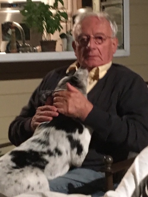Idk If Anyone Wanted Pictures Of Manchitas Terrorizing My Uncle And Being Unfairly Cute But Here You