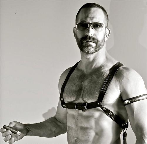 Nipples and harness  For similar posts, follow me at Nipple pigs.