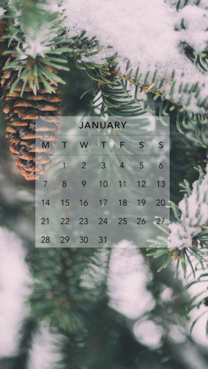                                         January 2019 Lockscreens//