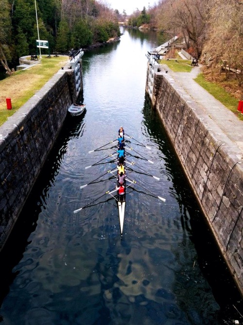 Queens women rowing doin our thangFollow @ queensrowing and @ littlebigrower on Instagram