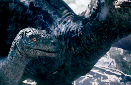 movie gifs — klinejack: JURASSIC WORLD: DOMINION (2022)