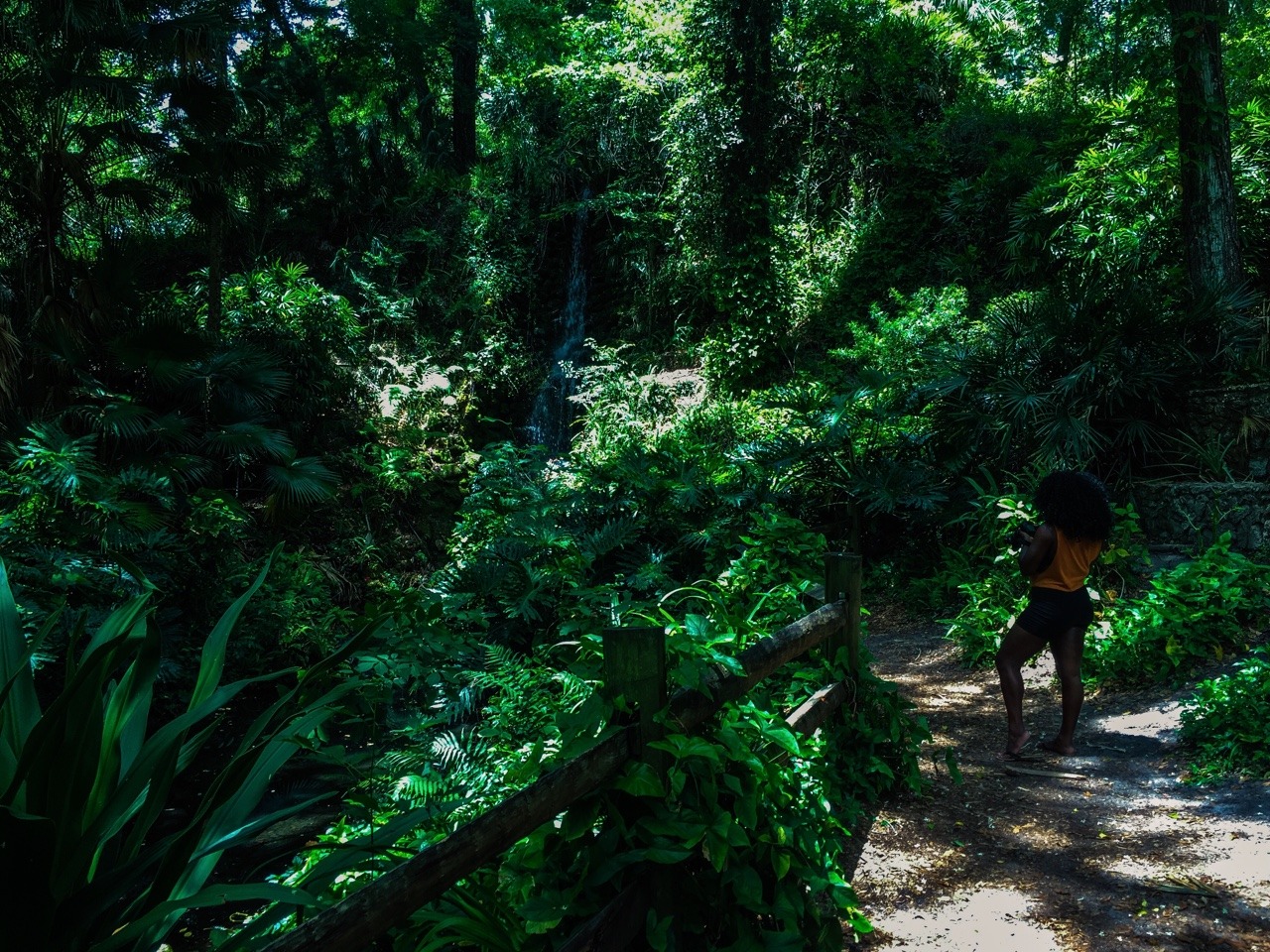 manifestvibrations:We got lost and found Utopia