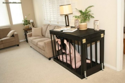 Daddy's Expectations and wants for his house