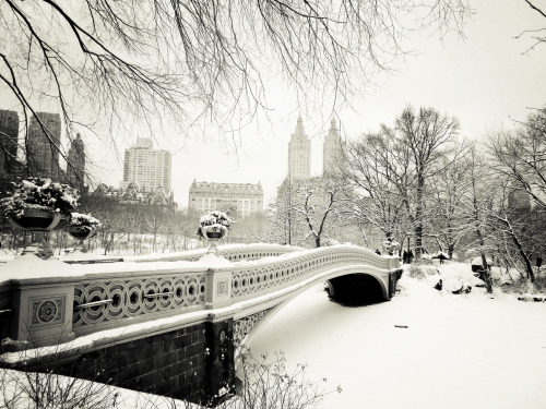 nythroughthelens: New York City - Winter - Central Park’s Most Beautiful Views —- One of
