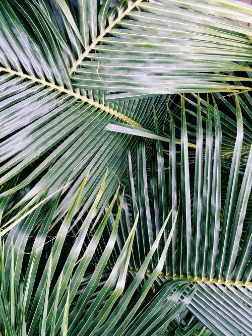 http://castawaylabel.tumblr.com/post/116433775118