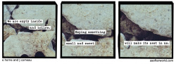 softerworld:  A Softer World: 1193 (unfurnished,