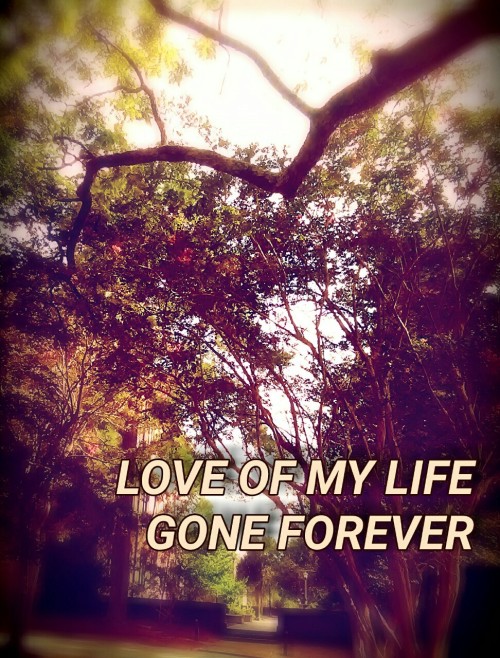 tfbquotes:West Virginia / The Front Bottoms[also on Katana Demo]