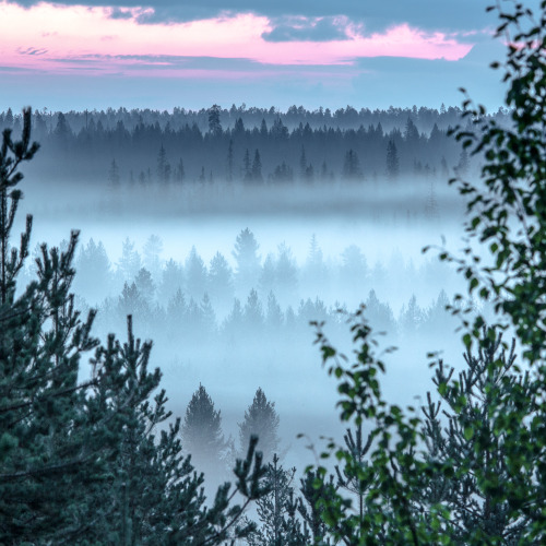 tiinatormanenphotography:Foggy summer nights. Southern Lapland, 2015.Today starting road trip chase 