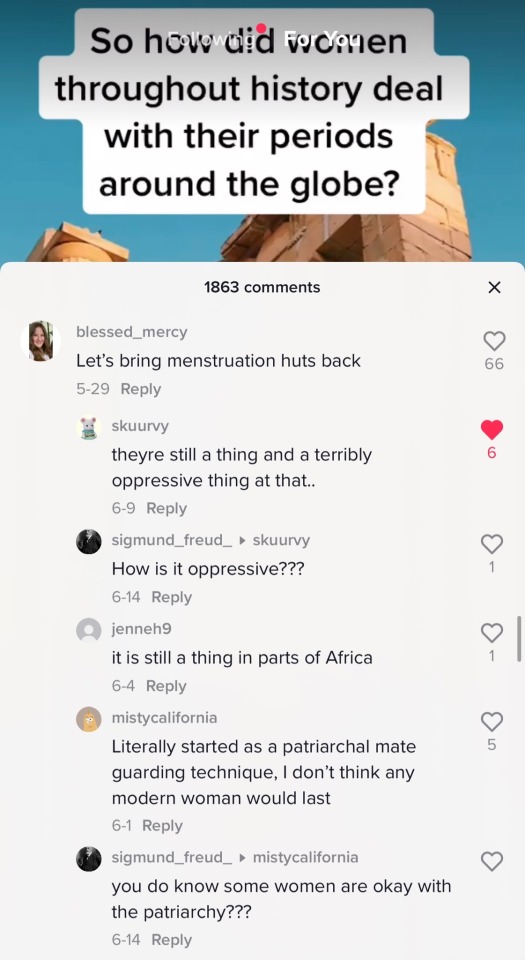 Tiktok Is Tumblr But Worse 