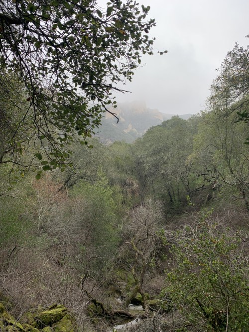 Winter hikes in the East Bay are becoming a yearly tradition for me. We recently hiked a new part of