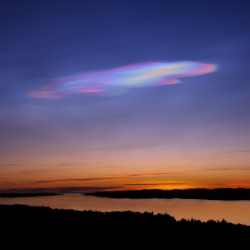 wonders-of-the-cosmos:    Polar stratospheric clouds or PSCs, also known as nacreous clouds, are clouds in the winter polar stratosphere at altitudes of 15,000–25,000 meters (49,000–82,000 ft). They are best observed during civil twilight when the