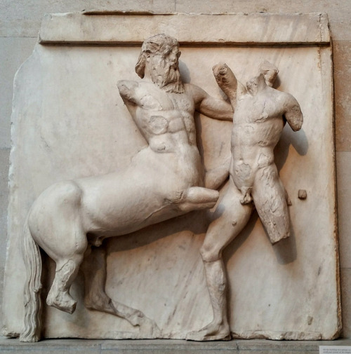 Metope from the Parthenon sculptures 447 - 432 b.c. The battle between Lapiths and Centaurs. (Britis