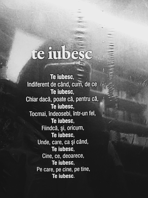 darkroseblueblood:  Gasita intr-o biblioteca din Bucuresti. M-a intors in trecut. 