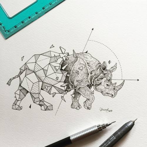 hostelsand-brothels:culturenlifestyle:Intricate Geometric Animal Illustrations by Kerby RosanesKerby
