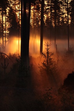 https://69.media.tumblr.com/b5460a8eb7b34de317c41b3d63b3de8d/tumblr_ntpbn9FROG1sg7jo9o1_500.jpg