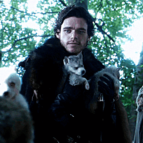 JON SNOW And ROBB STARK Game Of Thrones (2011-2019) 1.01