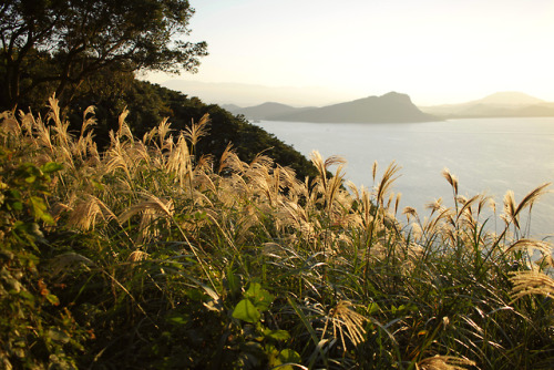 #Japon#Japan#fukuoka#nokonoshima#island#landscape#nature#sea#sunset#kyushu