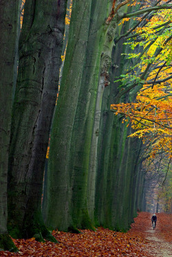 Magicalnaturetour:  Cycling, Sheltered By The Giants [Cycling And Cycling Again]