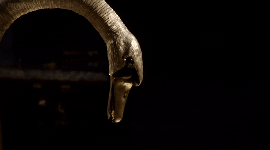 skeleton-richard: timberwolf-manstab: soundssimpleright: claygoblin: The Silver Swan, built by John 