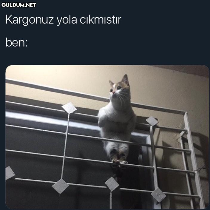 İşte geliyorrrr kargo...