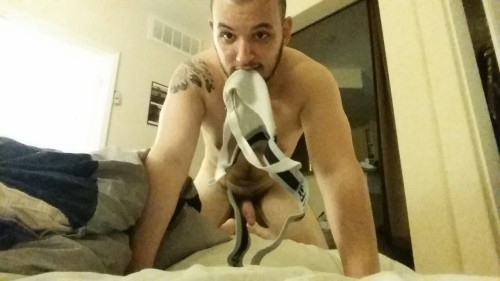 runtpup:  Play? I found a chewtoy!