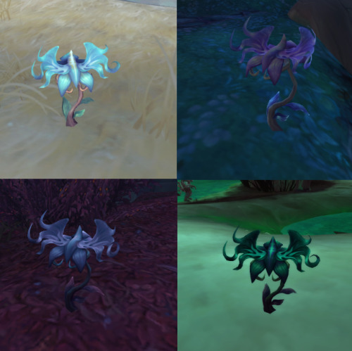 Death Blossoms change colour depending on the zone they are found in! ^^