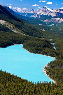 touchdisky:  Peyto Lake, Alberta | Canada