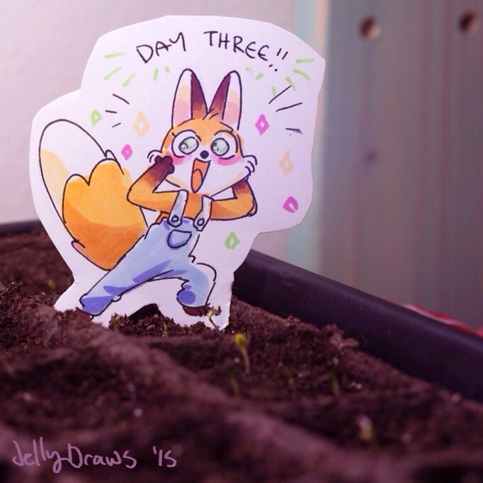 itscarororo:  jellydraws:  I started some seeds, and this little fox has been hanging