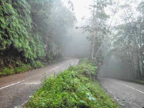 Down the mountain. #photography #lostworlds #VENEZUELA #roads  #forest #aragua #venezuela #tropicalforest #southamerica  (en Henri Pittier National Park)