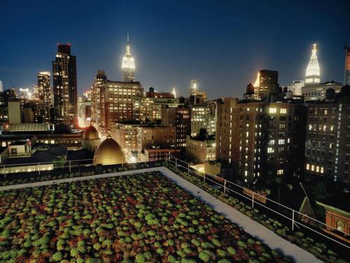 Green Roofs!The concept of the green roof is not a new phenomenon; with its basic functionality bein