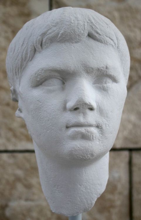 thebackstreetshistorian:last-of-the-romans:Julio-Claudian BustsTop Row: Octavia, Augustus, &amp; Mar