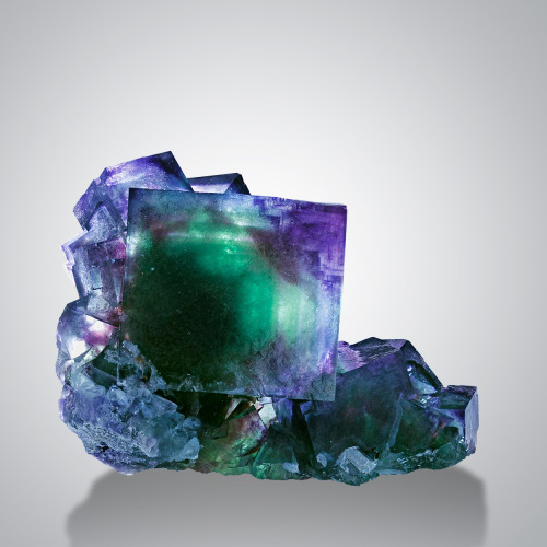 hematitehearts:  FluoriteLocality:   Okoruso Mine, Otjiwarongo District, Namibia