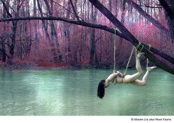 shibarihowto:  Workshop Fotografia &amp; Shibari - Sabato 22 Maggio by Rosae Photo Day http://flic.kr/p/7Ts7R6