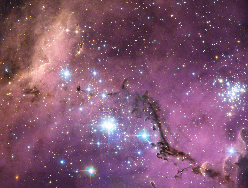 Hubble Sees Hidden Treasure in Large Magellanic Cloud by NASA Goddard Photo and Video