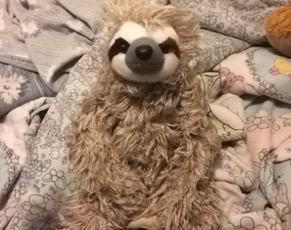 Got a birthday sloth from daddy  His name is Leif 🍃 (✿´ ꒳ ` )👑🍰🎁🎈🎉💗💕