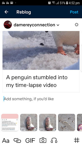 Tumblr media