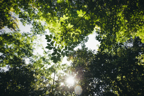 elenamorelli:{ joy of nature }