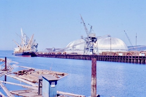 Log Loading, Alumina Storage Domes Behind, Port of Tacoma, 1969. During the 1960s there was a large 