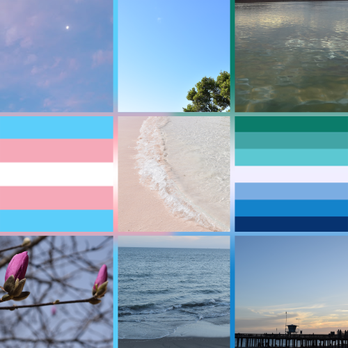 A trans gay men nature moodboard, featuring the trans and the gay men flag! All images used are my o