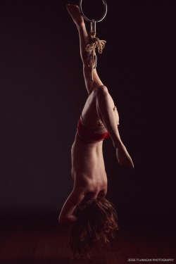 jesseflanagan:  With AliceRigging and photos by Jesse Flanagan (self)Rope provided by MyNawashi