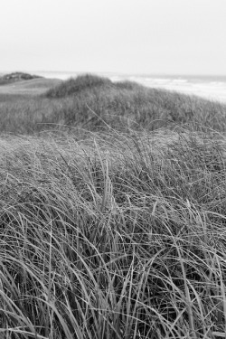 jimkeeley:  The Ridge of Dunes on Flickr.