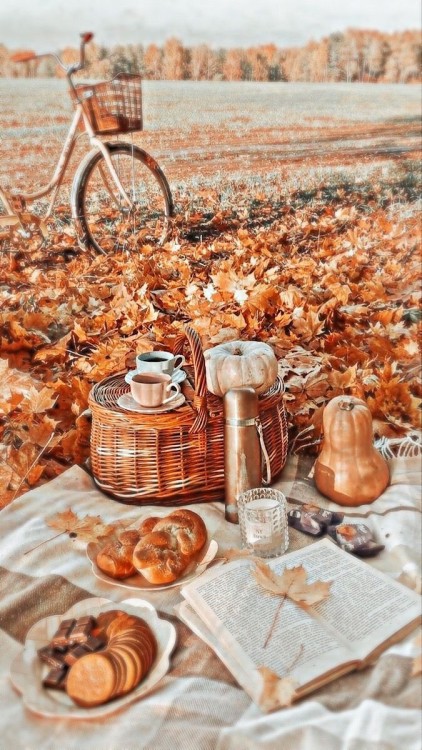 A Fall, Autumn, Halloween, Thanksgiving Blog. on Tumblr