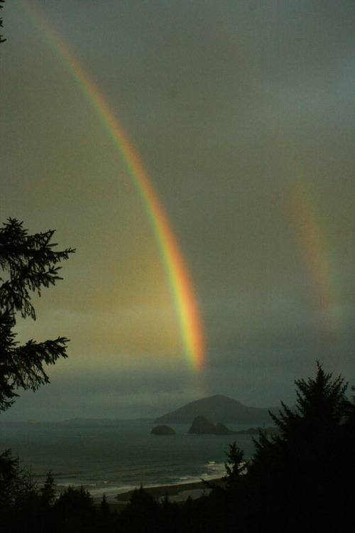 tracirearden:Rainbow
